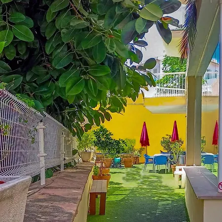 Port - Juvenil